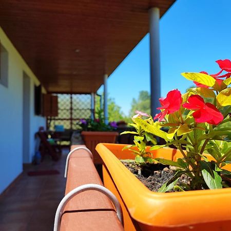 Apartman Dunav Aljmaš Dış mekan fotoğraf